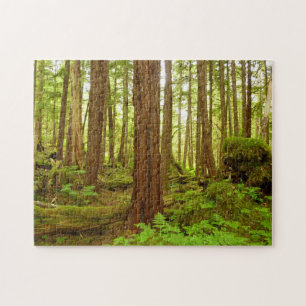 Alaskischer gemäßligter Regenwald Puzzle