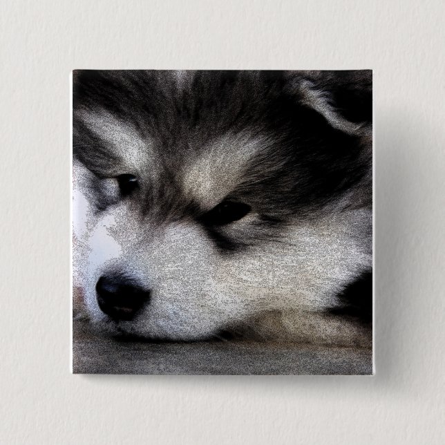 Alaskischer Malamute Button (Vorderseite)