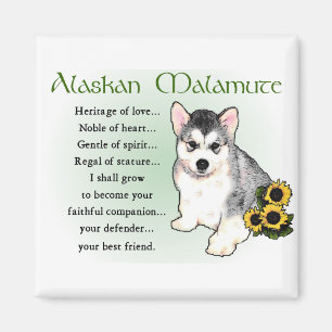 Alaskischer Malamute-Geschenke Magnet
