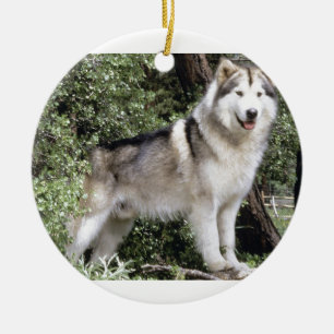 Alaskischer Malamute-Hund Keramikornament