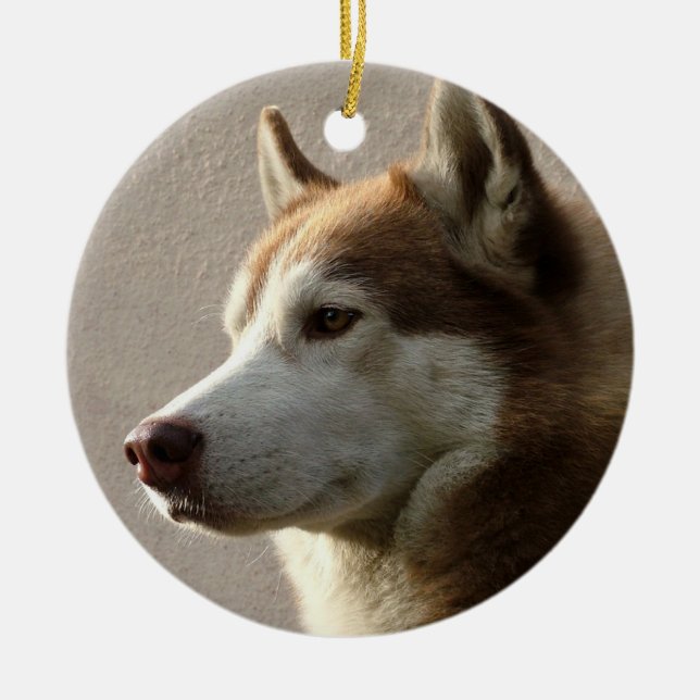 Alaskischer Malamute-Hund Keramikornament (Vorne)