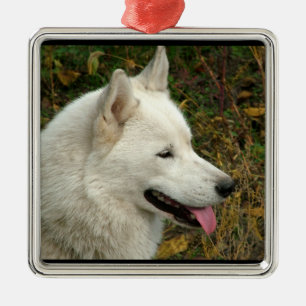 Alaskischer Malamute-Hund Ornament Aus Metall