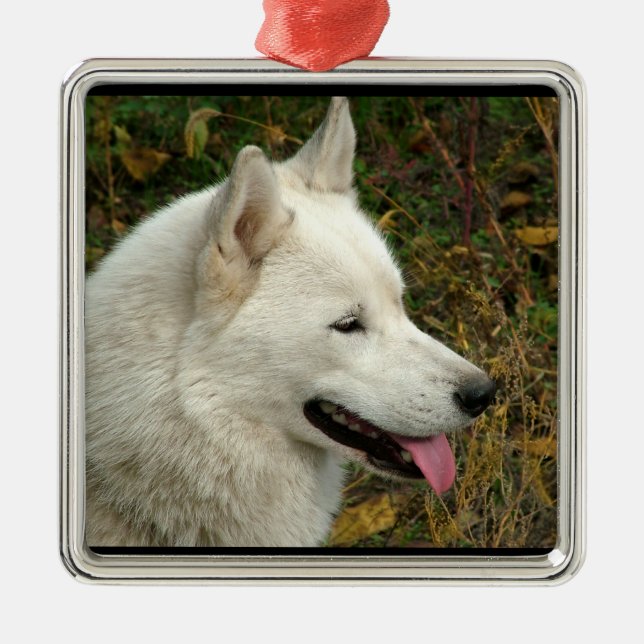 Alaskischer Malamute-Hund Ornament Aus Metall (Vorne)