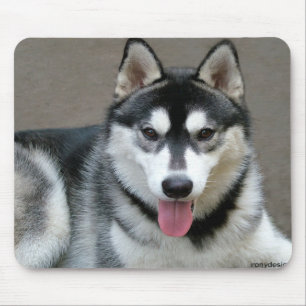 Alaskischer Malamute-Hunde Mousepad