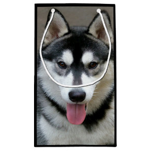 Alaskischer Malamute-Hundephotographie Kleine Geschenktüte
