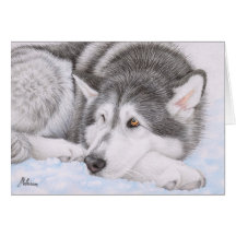 Alaskischer Malamute im Schnee