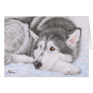 Alaskischer Malamute im Schnee