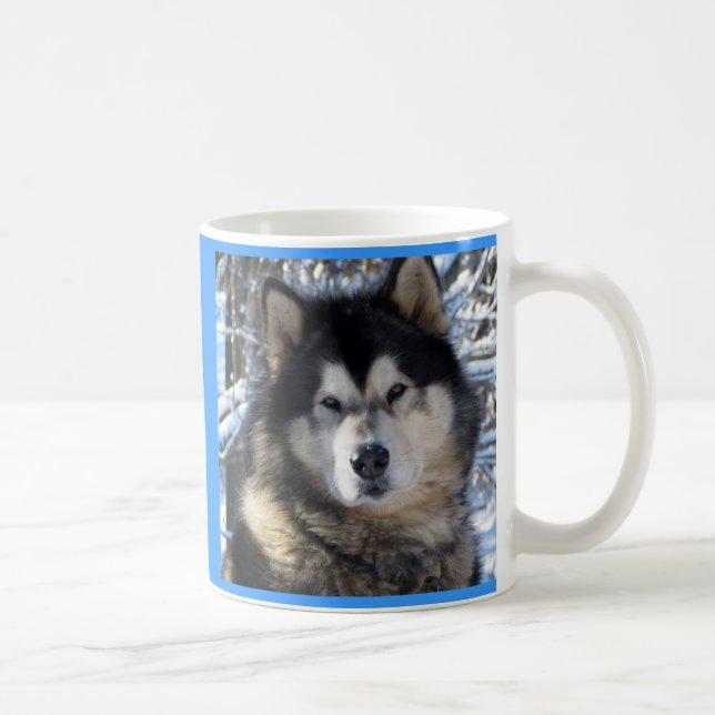 Alaskischer Malamute Kaffeetasse (Rechts)