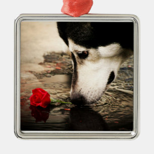 Alaskischer Malamute mit Roter Rose Ornament Aus Metall
