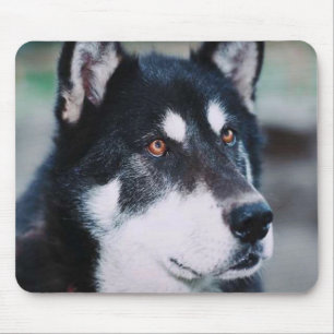 Alaskischer Malamute Mousepad