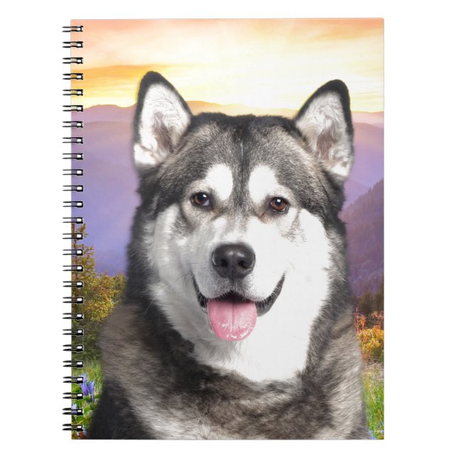 Alaskischer Malamute Notizblock (Vorderseite)