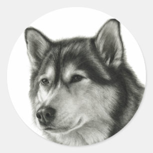 Alaskischer Malamute Runder Aufkleber
