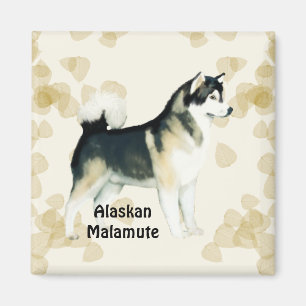 Alaskischer Malamute ~ TAN verlässt Motiff Magnet