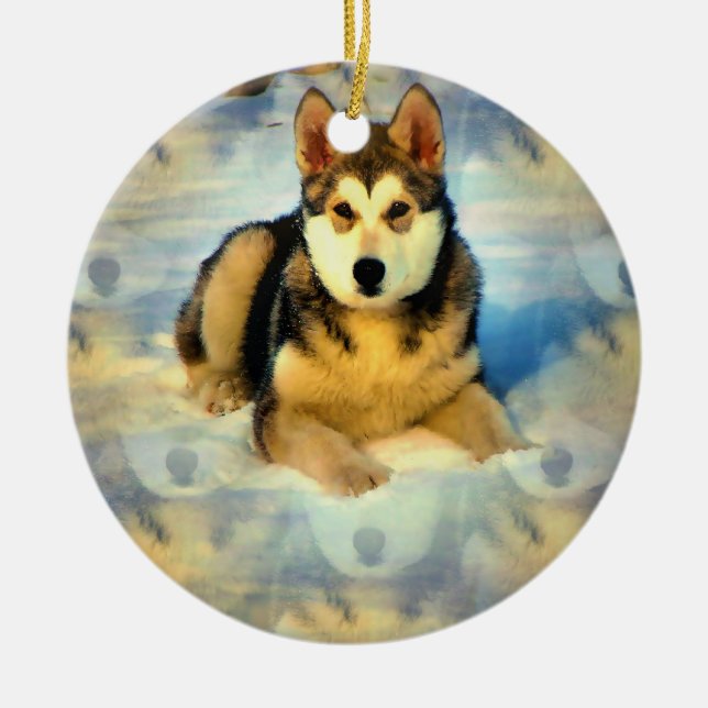Alaskischer Malamute-Welpen-Verzierung Keramikornament (Vorne)