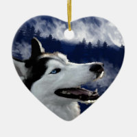 Alaskischer Schlittenhund