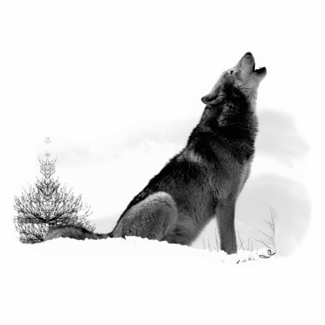 Alaskischer Timberwolf Freistehende Fotoskulptur (Vorne)
