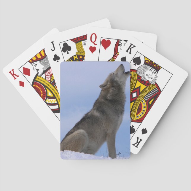 Alaskischer Timberwolf Spielkarten (Rückseite)