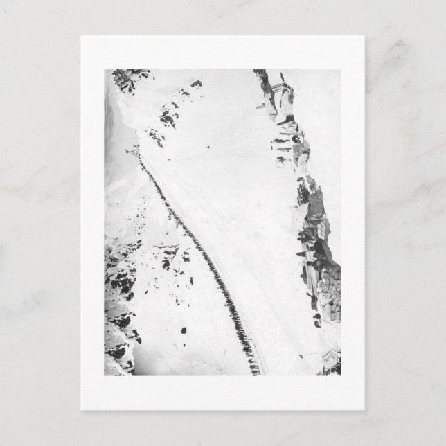 Alaskisches Klondikers Postkarte (Vorderseite)