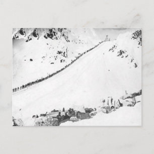 Alaskisches Klondikers Postkarte