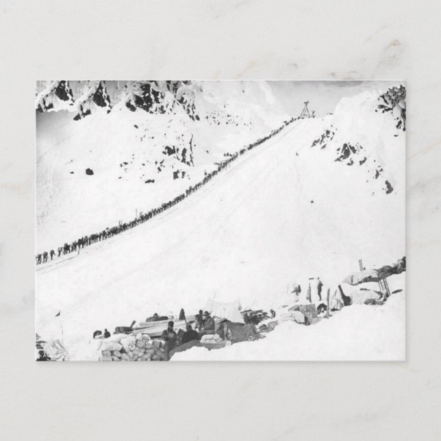 Alaskisches Klondikers Postkarte (Vorderseite)