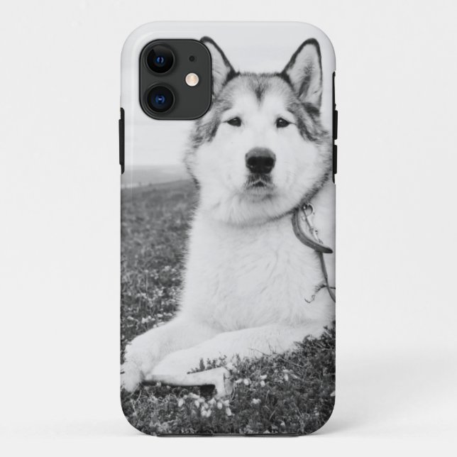 AlaskischMalamute bw.png Case-Mate iPhone Hülle (Rückseite)