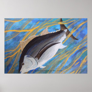 Albacore Poster