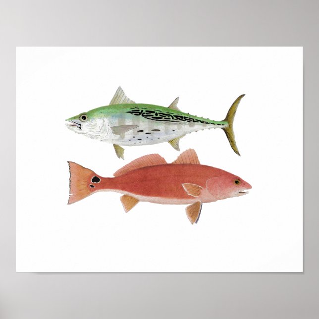 Albacore & Redfish Artwork Poster (Vorne)