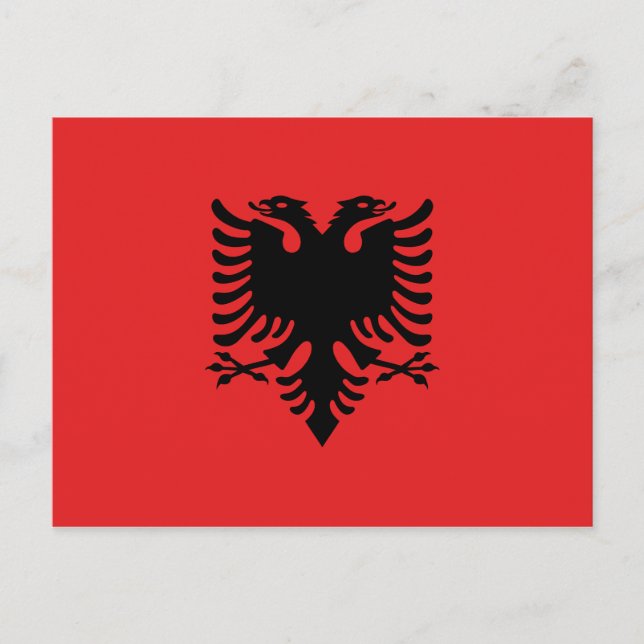 Albanien (Albanisch) Flagge Postkarte (Vorderseite)