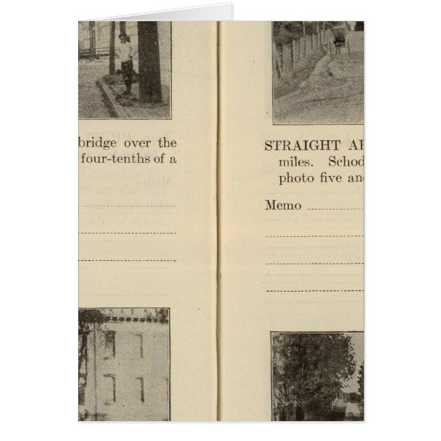 Albanien Rensselaer Ostgraubusch (Vorne)