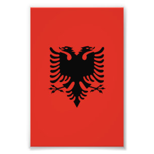 albanische Flagge Fotodruck
