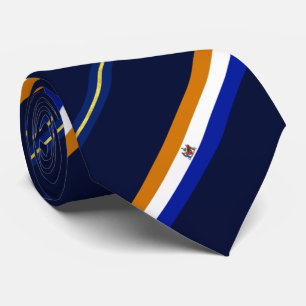 Albany (New York) Stadtflagge Neck Tie Krawatte