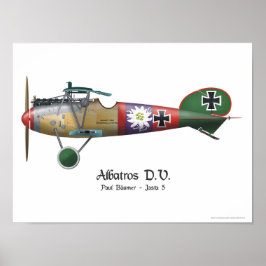 Albatros D.V. ww1 German Fighter Flugzeug Bäumer Poster