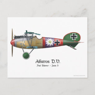 Albatros D.V. ww1 German Fighter Flugzeug Bäumer Postkarte