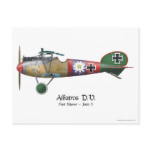 Albatros D.V. ww1 German Fighter Flugzeug Bäumer
