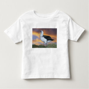 Albatros Laysan, (Diomedea immutabilis), USA, Kleinkind T-shirt