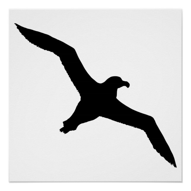 Albatros Poster (Vorderseite)