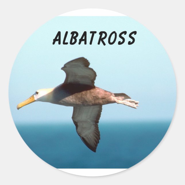 Albatross Flying Runder Aufkleber (Vorderseite)
