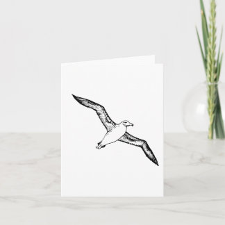 Albatross-Illustration Karte