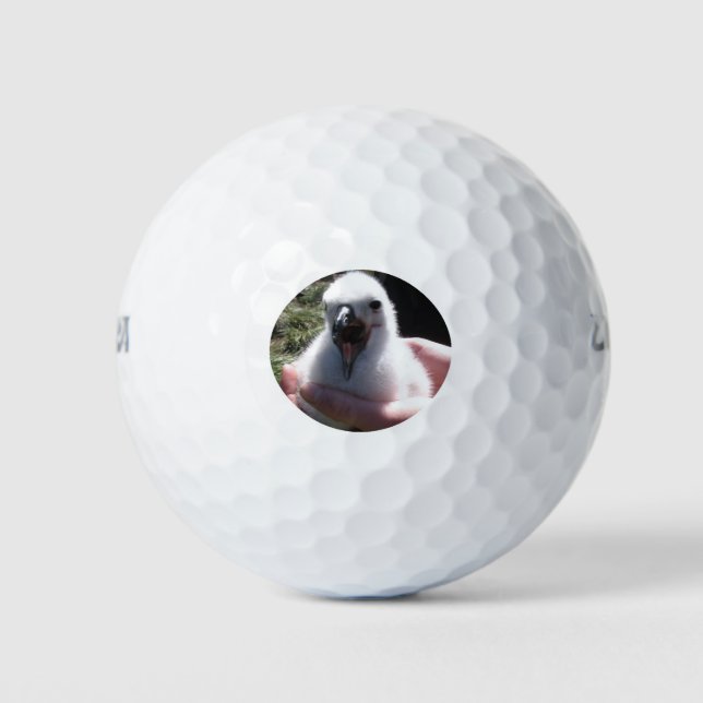 Albatross-Kick-Nester in menschlichen Händen Golfball (Vorderseite)