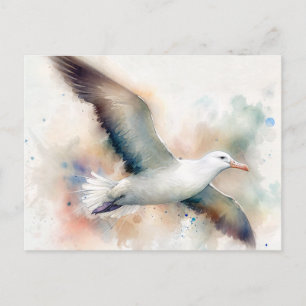 Albatross Wasserfarbe Postkarte
