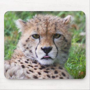 Albern Cheetah Cub Mousepad