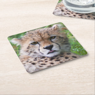 Albern Cheetah Cub Rechteckiger Pappuntersetzer