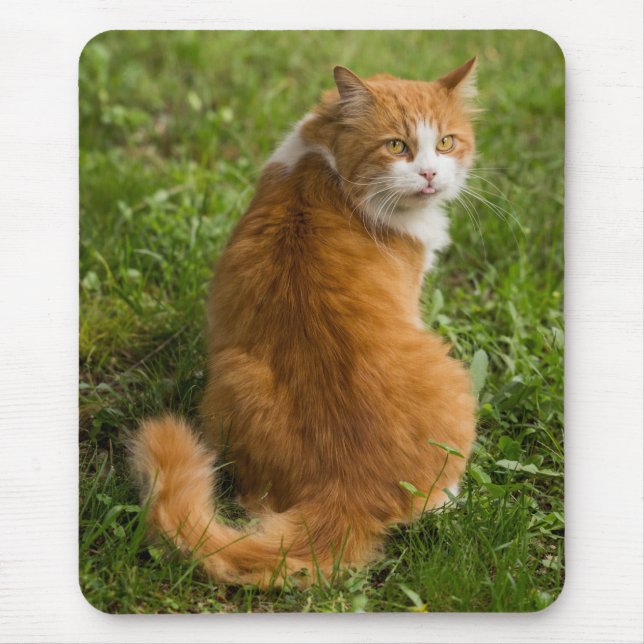 Albern Fluffy Orange Langerhaarige Tablette Mousepad (Vorne)