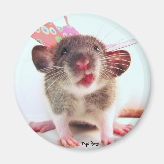 Albern Flutterby Rat Magnet