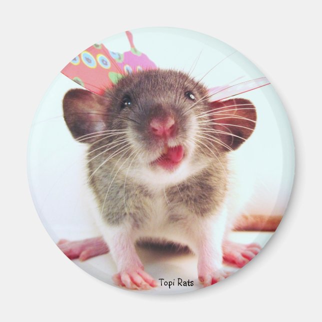 Albern Flutterby Rat Magnet (Vorne)