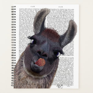 Albern Llama Planer