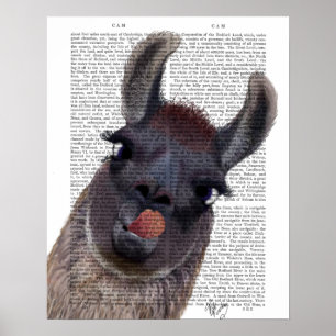 Albern Llama Poster