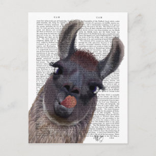Albern Llama Postkarte