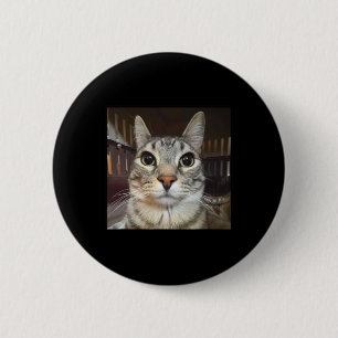 Albern Staring Cat Meme Button