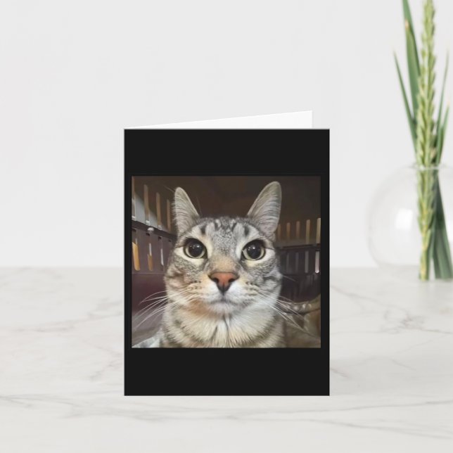 Albern Staring Cat Meme Karte (Vorderseite)